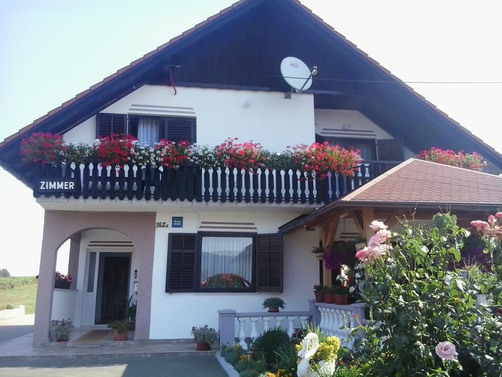 Guesthouse Tomas Čatrnja المظهر الخارجي الصورة