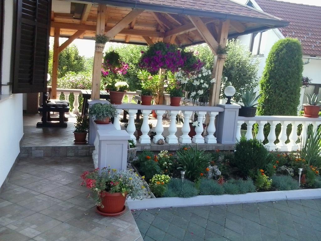 Guesthouse Tomas Čatrnja المظهر الخارجي الصورة