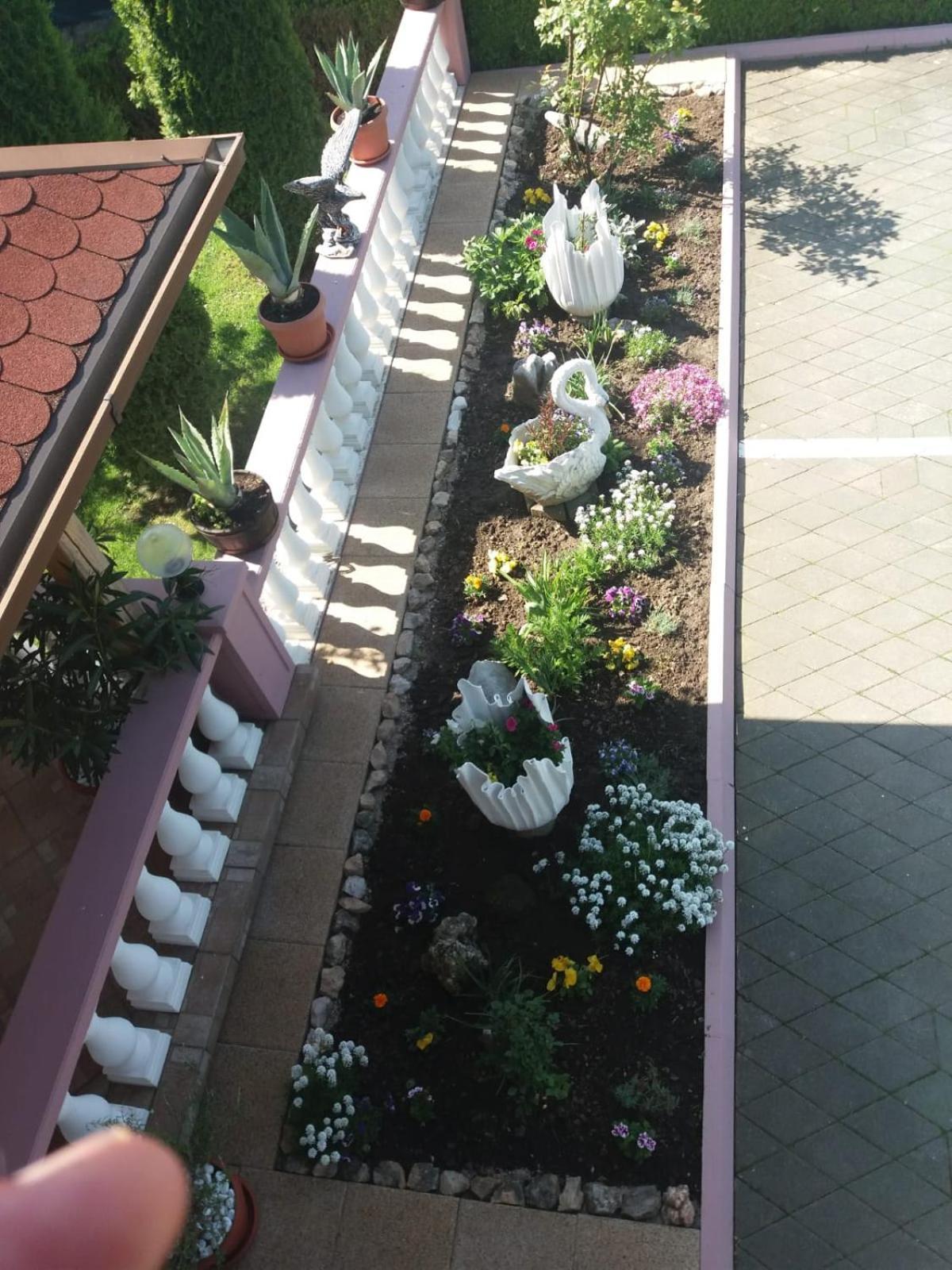 Guesthouse Tomas Čatrnja المظهر الخارجي الصورة