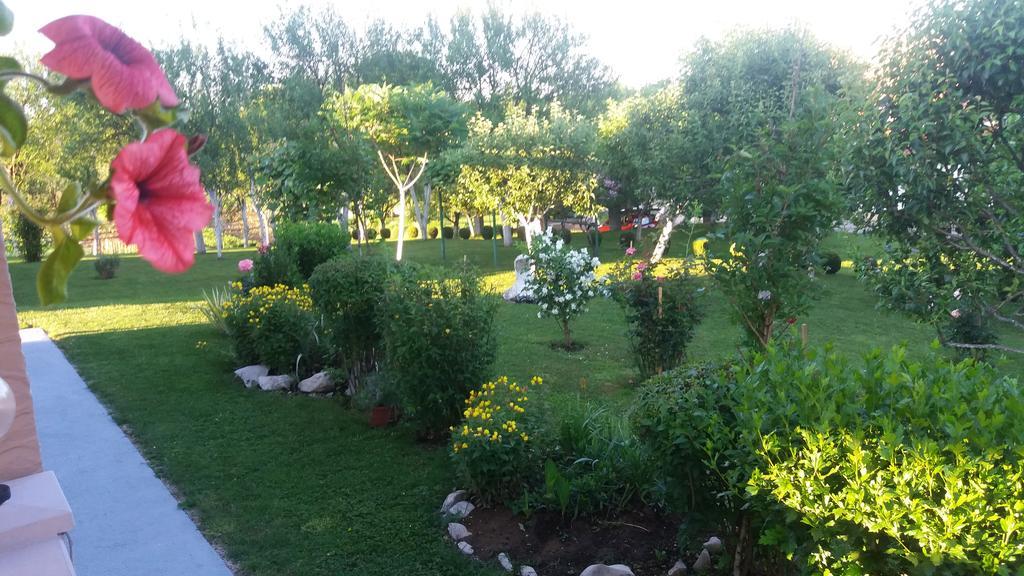 Guesthouse Tomas Čatrnja المظهر الخارجي الصورة