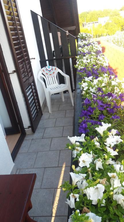 Guesthouse Tomas Čatrnja المظهر الخارجي الصورة