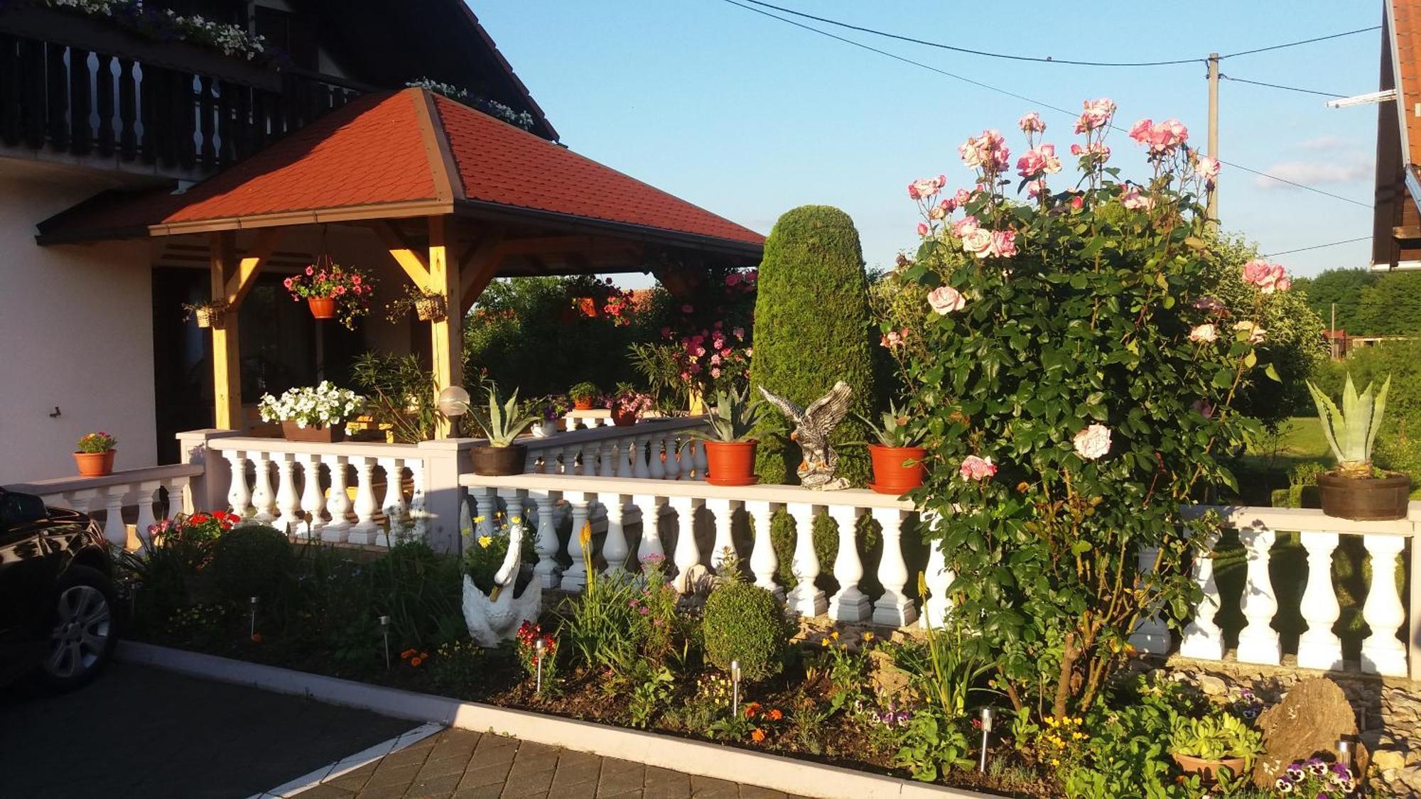 Guesthouse Tomas Čatrnja المظهر الخارجي الصورة