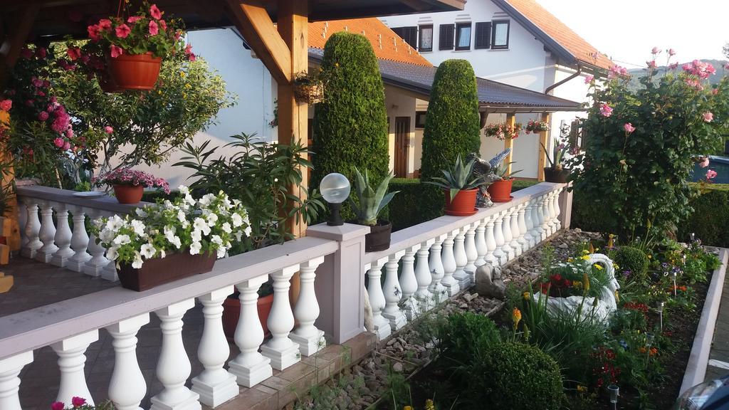 Guesthouse Tomas Čatrnja المظهر الخارجي الصورة