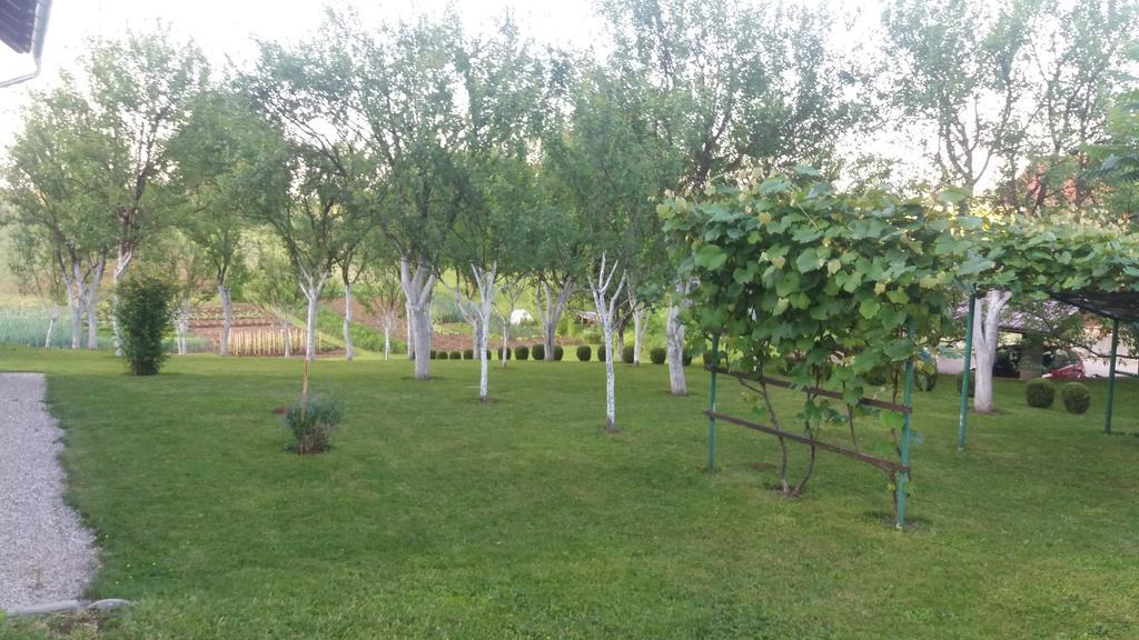 Guesthouse Tomas Čatrnja المظهر الخارجي الصورة