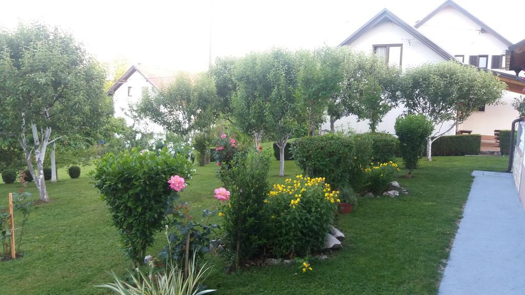 Guesthouse Tomas Čatrnja المظهر الخارجي الصورة