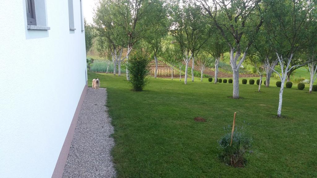 Guesthouse Tomas Čatrnja المظهر الخارجي الصورة