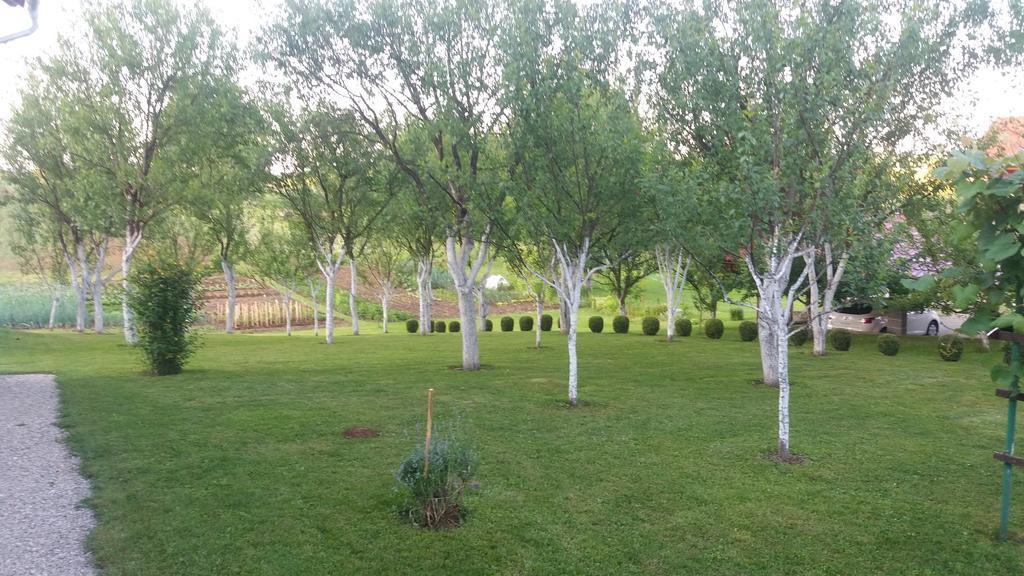 Guesthouse Tomas Čatrnja المظهر الخارجي الصورة