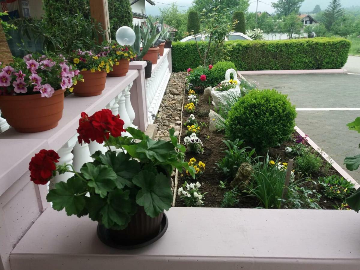 Guesthouse Tomas Čatrnja المظهر الخارجي الصورة