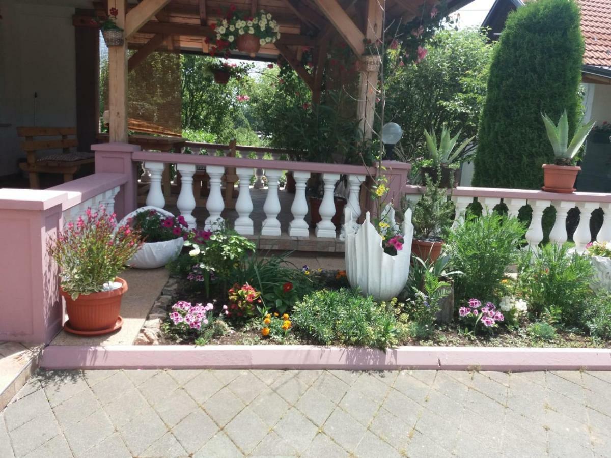 Guesthouse Tomas Čatrnja المظهر الخارجي الصورة