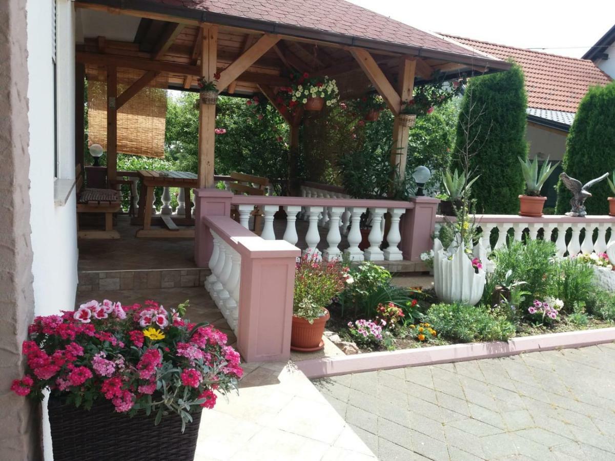 Guesthouse Tomas Čatrnja المظهر الخارجي الصورة